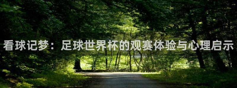 足球世界杯时间：看球记梦：足球世界杯的观赛体验与心理启示