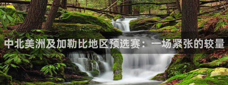 世界杯官网入口：中北美洲及加勒比地区预选赛：一场紧张的较量