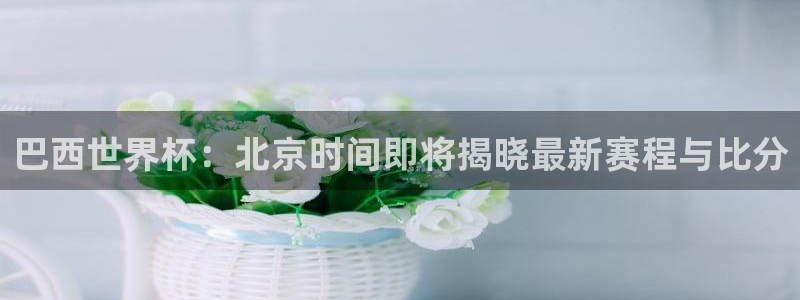 世界杯预选赛赛程表：巴西世界杯：北京时间即将揭晓最新赛程与比分