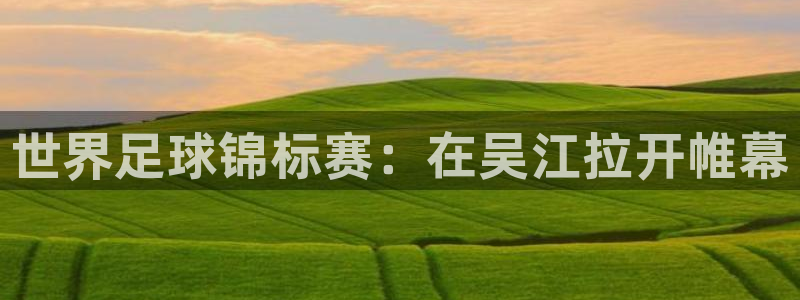 2026世界杯德国队阵容：世界足球锦标赛：在吴江拉开帷幕