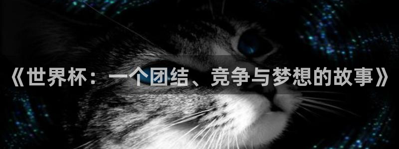 世界杯直播：《世界杯：一个团结、竞争与梦想的故事》