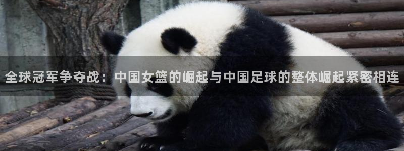 2006世界杯：全球冠军争夺战：中国女篮的崛起与中国足球的整体崛起紧密相连