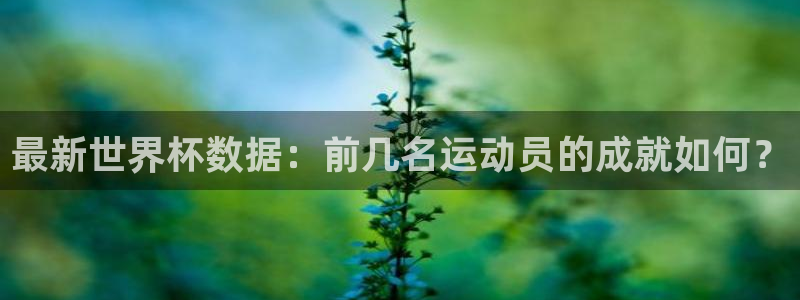 世界杯球赛：最新世界杯数据：前几名运动员的成就如何？
