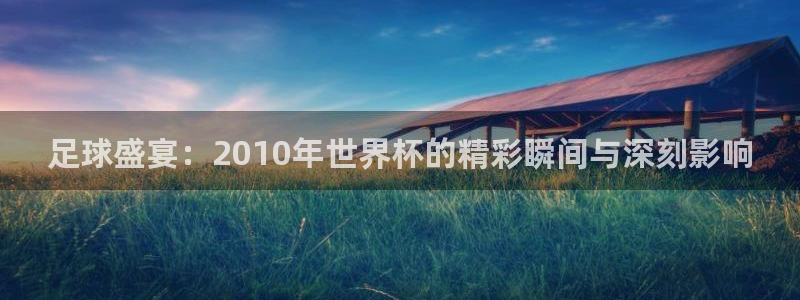 足球世预赛：足球盛宴：2010年世界杯的精彩瞬间与深刻影响