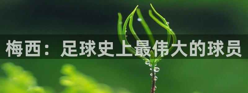 世界杯48支球队赛制：梅西：足球史上最伟大的球员