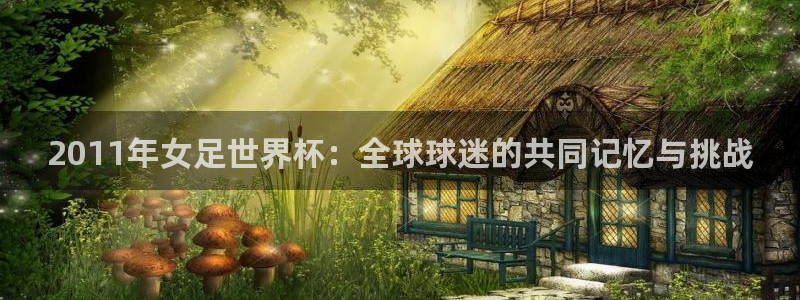 英格兰联赛杯直播：2011年女足世界杯：全球球迷的共同记忆与挑战