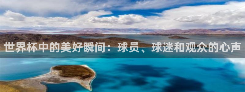 欧洲世预赛赛程表：世界杯中的美好瞬间：球员、球迷和观众的心声