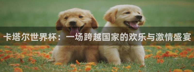 世界杯决赛直播：卡塔尔世界杯：一场跨越国家的欢乐与激情盛宴