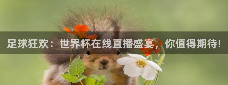 2026世界杯中国队：足球狂欢：世界杯在线直播盛宴，你值得期待!