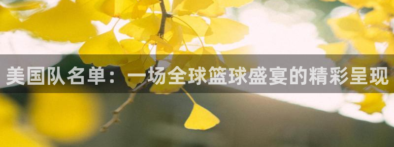 女足世界杯赛程：美国队名单：一场全球篮球盛宴的精彩呈现