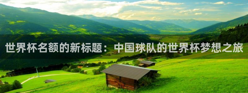 足球世预赛：世界杯名额的新标题：中国球队的世界杯梦想之旅