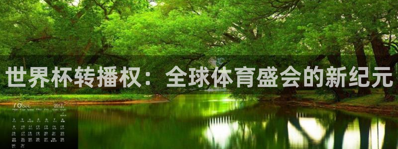 世界杯在线直播入口：世界杯转播权：全球体育盛会的新纪元